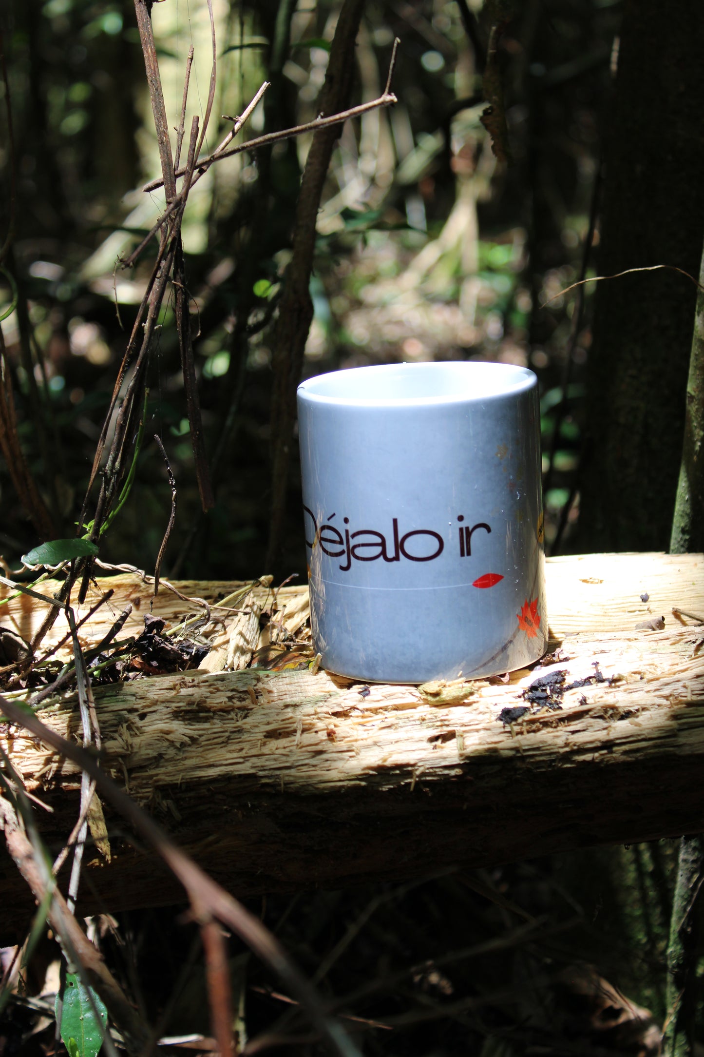 DI004 TAZA 11 OZ DISEÑO OTOÑO COLECCION DEJALO IR