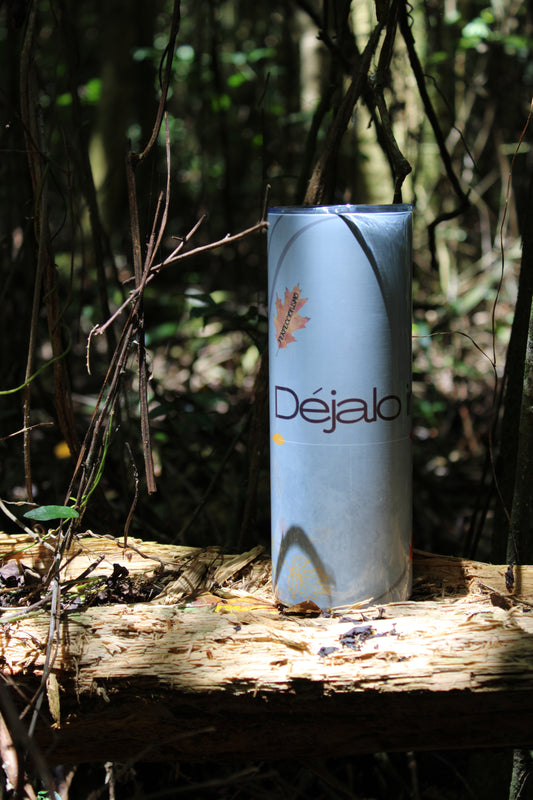 DI002  VASO DISEÑO OTOÑO 20 OZ DOBLE PARED COLECCION DEJALO IR